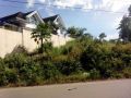 overlooking lot for sale in bohol, -- Land -- Tagbilaran, Philippines