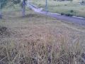residential vacant lot 250 sqm davao city, -- Land -- Davao City, Philippines