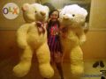 giant teddy bear cream, -- Other Business Opportunities -- Metro Manila, Philippines