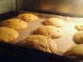 cookies; chocolate chip, -- Food & Related Products -- Caloocan, Philippines