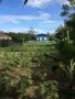 for sale house and lot, -- House & Lot -- Negros oriental, Philippines