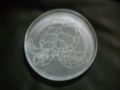 etching on glass paperweight, -- Advertising Services -- Metro Manila, Philippines