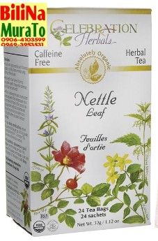 nettle leaf tea bilinamurato stinging nettle leaf tea organic nettle leaf g, -- Natural & Herbal Medicine Metro Manila, Philippines