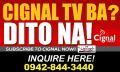 cignal cable tv, -- Home & Cable -- Tarlac City, Philippines