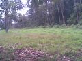land and farm for sale, -- Farms & Ranches -- Negros oriental, Philippines