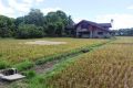 farm, bulacan, warehouse, rawland, -- Land & Farm -- Bulacan City, Philippines