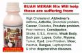 buah merah, -- Other Business Opportunities -- Cebu City, Philippines