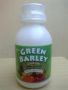green barley juice in bottle, -- Nutrition & Food Supplement -- Manila, Philippines
