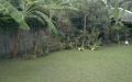 house and lot for sale in valencia neg or, -- House & Lot -- Valencia, Philippines