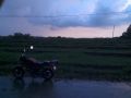 agricultural, -- Farms & Ranches -- Tarlac City, Philippines
