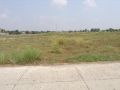 olxph, -- Farms & Ranches -- Tarlac City, Philippines