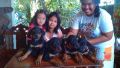 rottweiler puppies, -- Dogs -- Rizal, Philippines