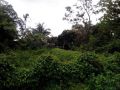 residential lot, lot only in bohol, affordable lot for sale, -- Land -- Bohol, Philippines