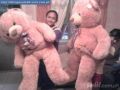 giant teddy beat light brown, -- Other Business Opportunities -- Metro Manila, Philippines