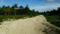 lot for sale, -- Wanted -- Bohol, Philippines