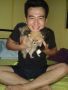 male, pomeranian, puppies, -- Dogs -- Metro Manila, Philippines