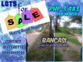 httpswwwfacebookcomglecerette, -- Land & Farm -- Agusan del Norte, Philippines
