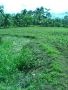 prosperidad agusan del sur, -- Land & Farm -- Agusan del Sur, Philippines