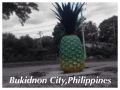 camiguin island tour, iligan city tour, bukidnon dahilayan adventure park, cdo city travel, -- Tour Packages -- Cagayan de Oro, Philippines
