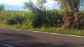 vacant lot, lot, lot for sale, cabusao, Lot for Sale in Cabusao, Camarines Sur, Lot for Sale in Camarines Sur, Lot for Sale along the Highway -- Land -- Metro Manila, Philippines