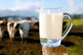 cows milk, milk, -- Food & Beverage -- Lipa, Philippines