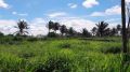 affordale farm lots, -- Land & Farm -- Tagaytay, Philippines