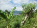 land for sale in tanauan batangas, -- Land & Farm -- Batangas City, Philippines