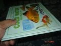 goldfishes, book, animals, fish, -- Childrens Books -- Metro Manila, Philippines