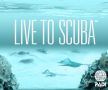 scuba, swimming, snorkelling, deep sea, -- Tutorial -- Metro Manila, Philippines